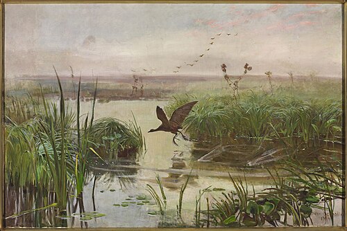 The Water Hen, 1894, Józef Chełmoński