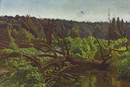Deep forest – Windthrows, 1902, Józef Chełmoński