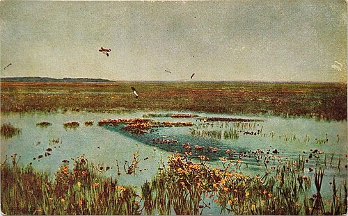Wiosna, 1889, Józef Chełmoński