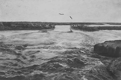 Zalana łąka, 1891, Józef Chełmoński