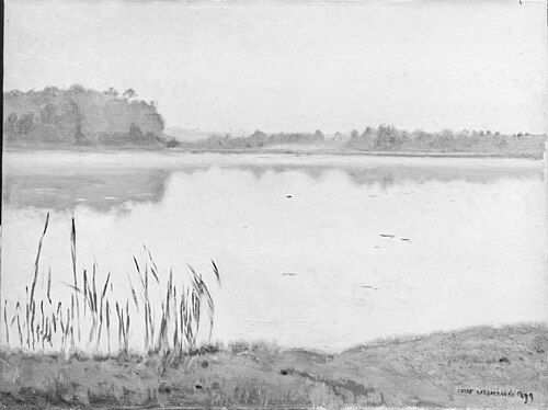 Staw w Radziejowicach, 1899, Józef Chełmoński