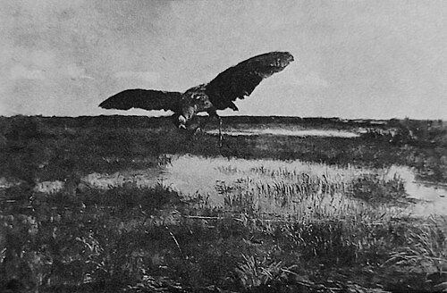 Bąk, 1892, Józef Chełmoński