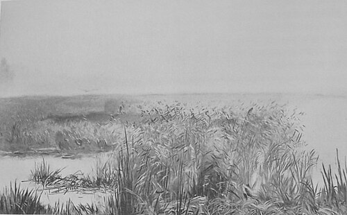 Mgły poranne, 1892, Józef Chełmoński