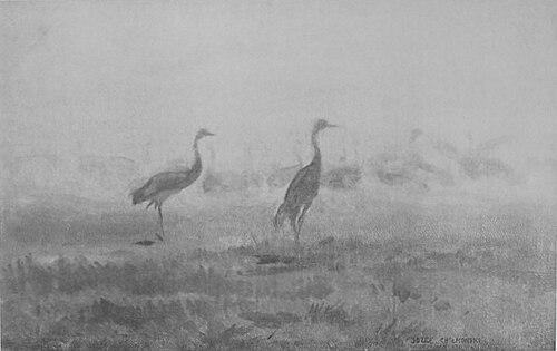 Marshes, 1910, Józef Chełmoński