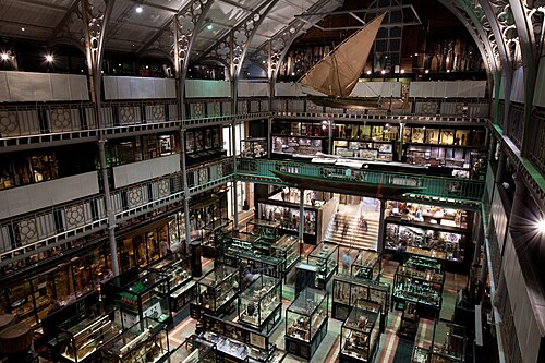 musée Pitt Rivers
