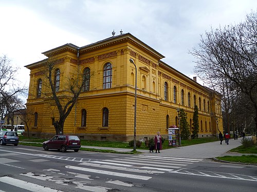 Wosinsky Mór County Museum
