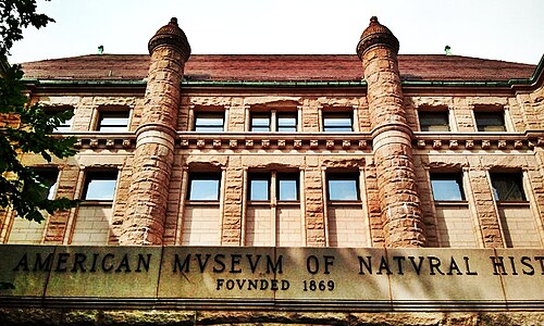 musée américain d'histoire naturelle