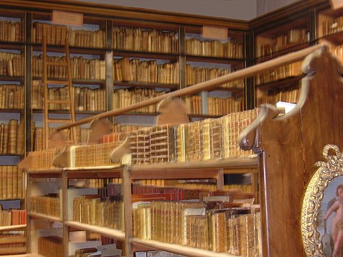 bibliothèque Inguimbertine