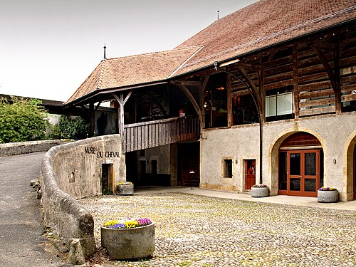 horse museum in the castle