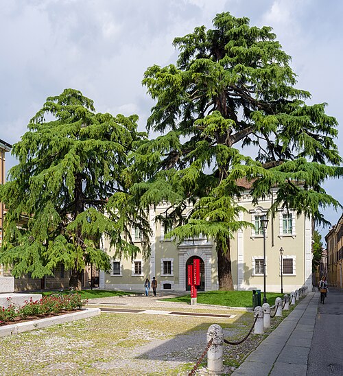Pinacothèque Tosio Martinengo