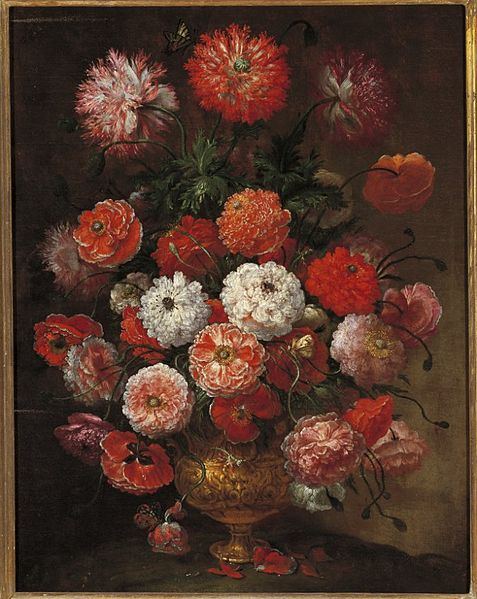 musée de la nature morte
