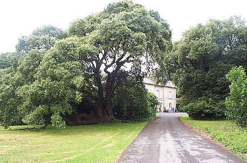 Scolton Manor Museum